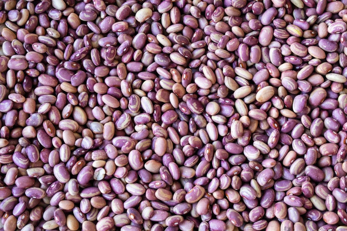 Heirloom Beans